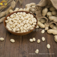 High Grade Blanched Peanut Kernels Round Shape